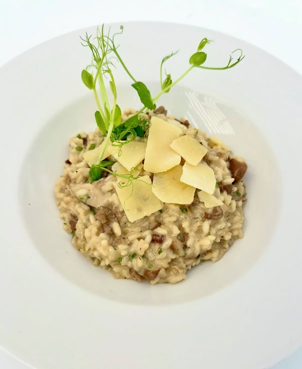 Risotto de setas con parmesano