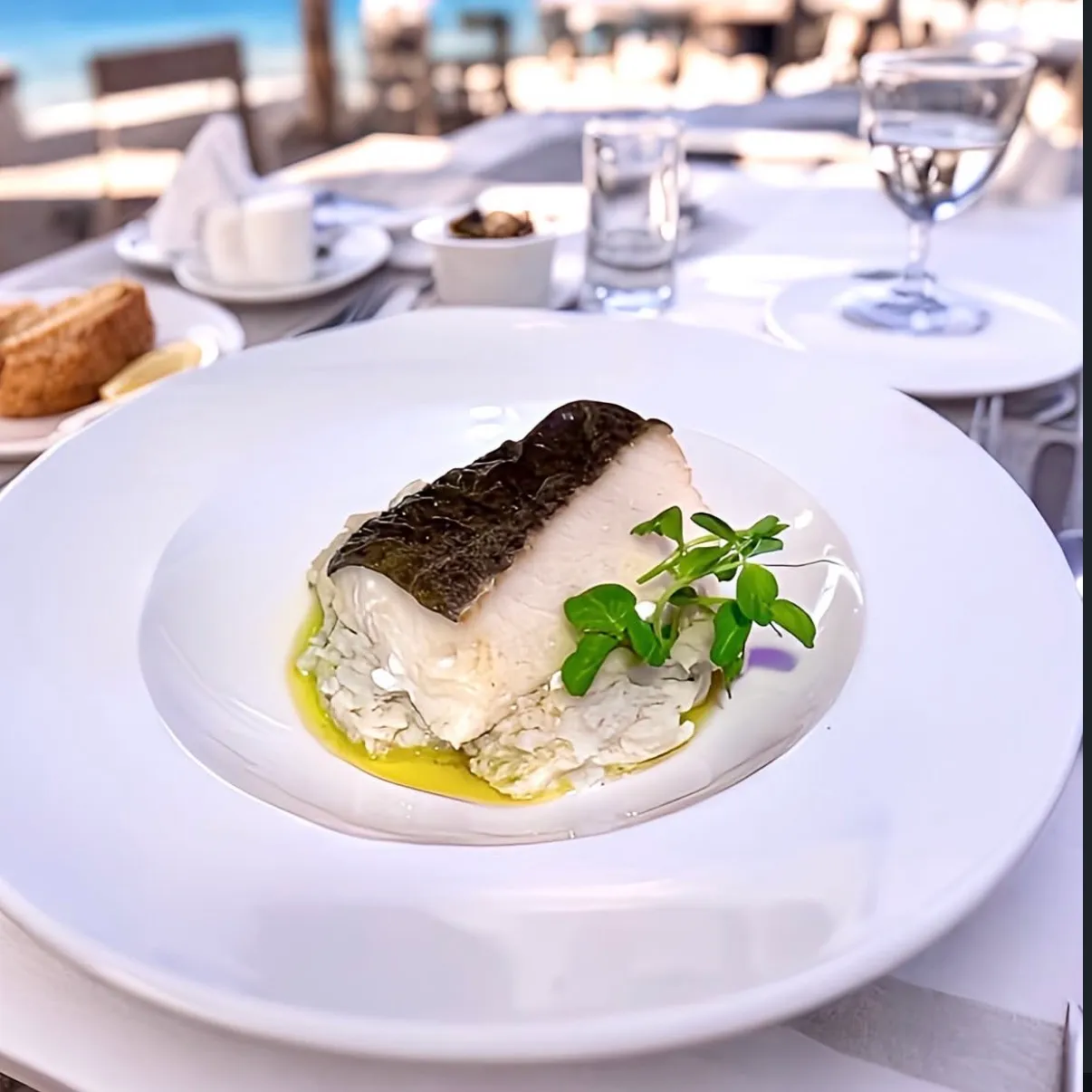 Lomo de lubina sobre crema de verduras